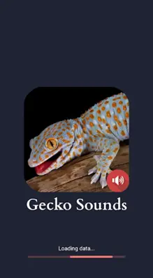 Gecko Sounds android App screenshot 3